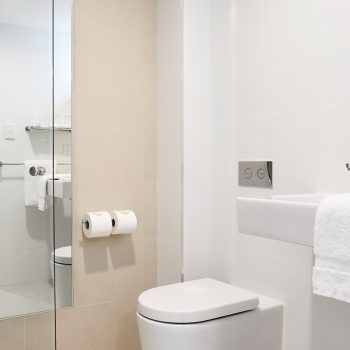 Bathroom Standard Queen Room